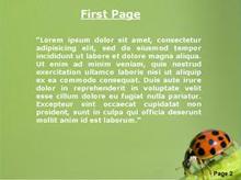 A ladybird on a branch Second PPT Background
