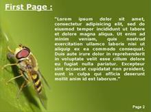 Hover bee on a leaf Second PPT Background