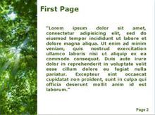 Light in the forest Second PPT Background