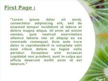 Kiwi Slices Second PPT Background