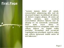 Rain and Nature Second PPT Background
