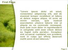 A Green Field Second PPT Background