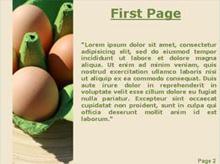 Four eggs pack Second PPT Background