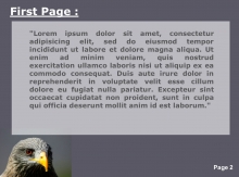 Falcon head Second PPT Background