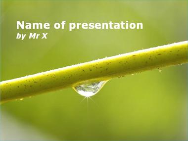 Nature Gift Powerpoint Template image