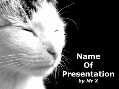 White cat Powerpoint Template image