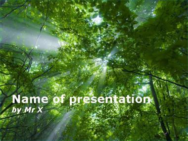 Light in the forest Powerpoint Template image