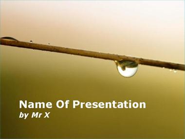A Raindrop on a Stem Powerpoint Template image