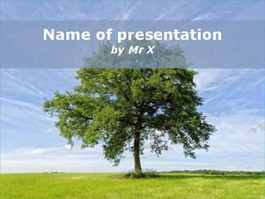 The big tree Powerpoint Template image