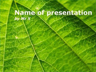 Fern Leaf Powerpoint Template image