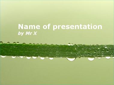 A stem with multiple water drops Powerpoint Template image