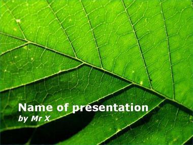 The Green Leaf Powerpoint Template image
