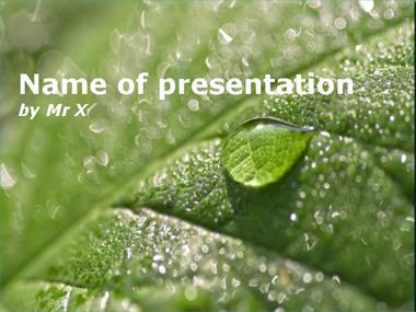 Water Drops on a green leaf Powerpoint Template image