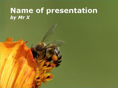 Bee at work Powerpoint Template image