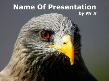 Falcon head Powerpoint Template image
