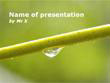 Nature Gift Powerpoint Template