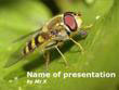 Hover bee on a leaf Powerpoint Template