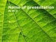 Fern Leaf Powerpoint Presentation Template