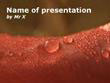 Water Drops on a red leaf Powerpoint Presentation Template