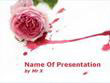 A Rose Flower in Blood Powerpoint Presentation Template