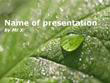 Water Drops on a green leaf Powerpoint Template