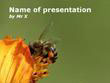 Bee at work Powerpoint Template